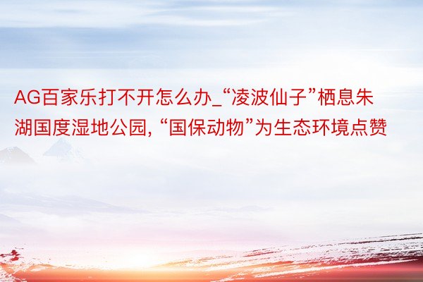 AG百家乐打不开怎么办_“凌波仙子”栖息朱湖国度湿地公园, “国保动物”为生态环境点赞